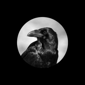 激情性爱之大团结
